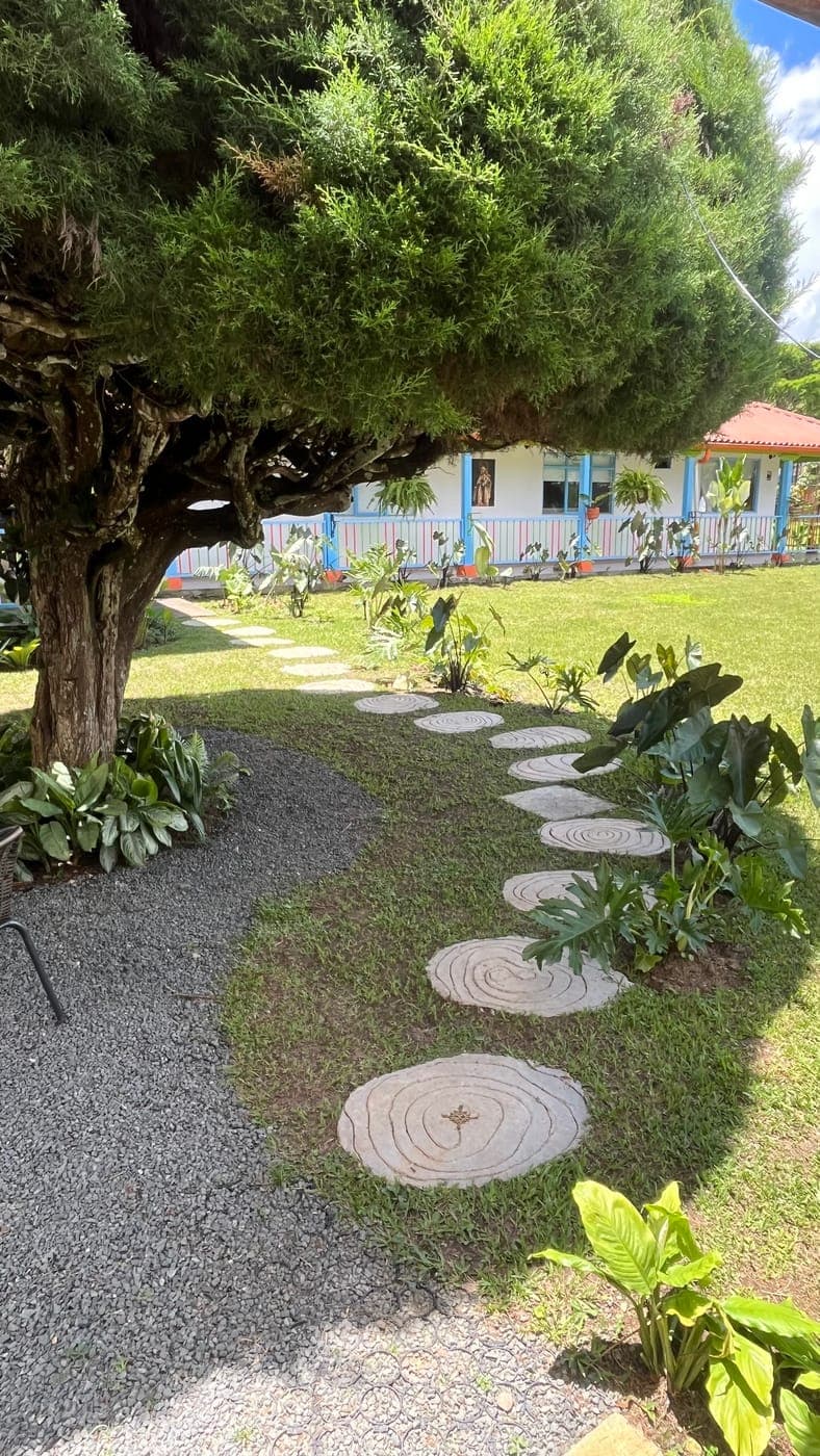 Piedras naturales entre el verde